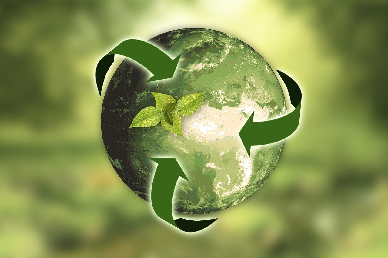 Umweltbewusstsein und Nachhaltigkeit